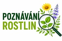 Poznávání rostlin – okrskové kolo soutěže