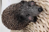 DOBROU NOC JEŽKU 🦔 PROGRAM Změna termínu ❗
