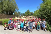 ZOO Dvůr Králové nad Labem