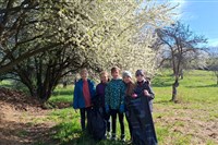 DEN ZEMĚ – UKLIĎME ČESKO