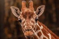 VÝLET ZOO OLOMOUC