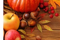 Tvořivá dílna s rodiči 🍁 PODZIM