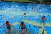 Celodenní školní výlet - Koupaliště a kemp Pecka 