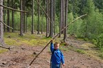 IMG-20250609-WA0075.jpg