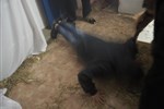 PC040085.jpg