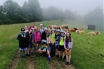IMG_20210625_093916.jpg