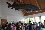 IMG_4972.JPG