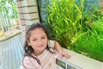 215ad35ddfcd44a4919997859dc3150