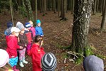 IMG_9703.JPG