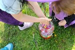 IMG-20250430-WA0056.jpg