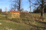 IMG_0310.JPG