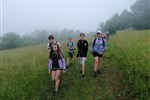 IMG_20210625_100724.jpg