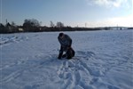 IMG_20210111_115343.jpg