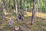 IMG-20250610-WA0031.jpg