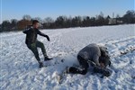 IMG_20210111_115120.jpg
