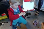 IMG-20250611-WA0033.jpg