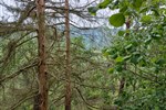 IMG-20250610-WA0077.jpg