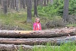 IMG-20250609-WA0037.jpg