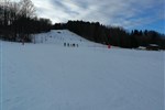 IMG_20200123_094239.jpg