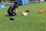 IMG_5040.JPG