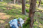 IMG-20250609-WA0061.jpg