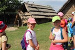 IMG_4939.JPG
