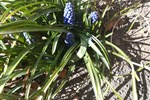 IMG_20200330_143837.jpg