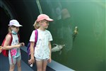 IMG_4992.JPG