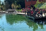 img_3_1780313362336.jpg