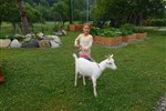 cc8edd27b9c446acbf1454f28dd066a
