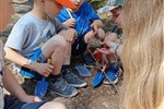 IMG_20250612_160151.jpg