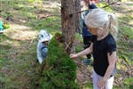 IMG-20250609-WA0077.jpg