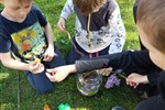IMG-20250430-WA0054.jpg