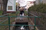 IMG_20190328_160829.jpg